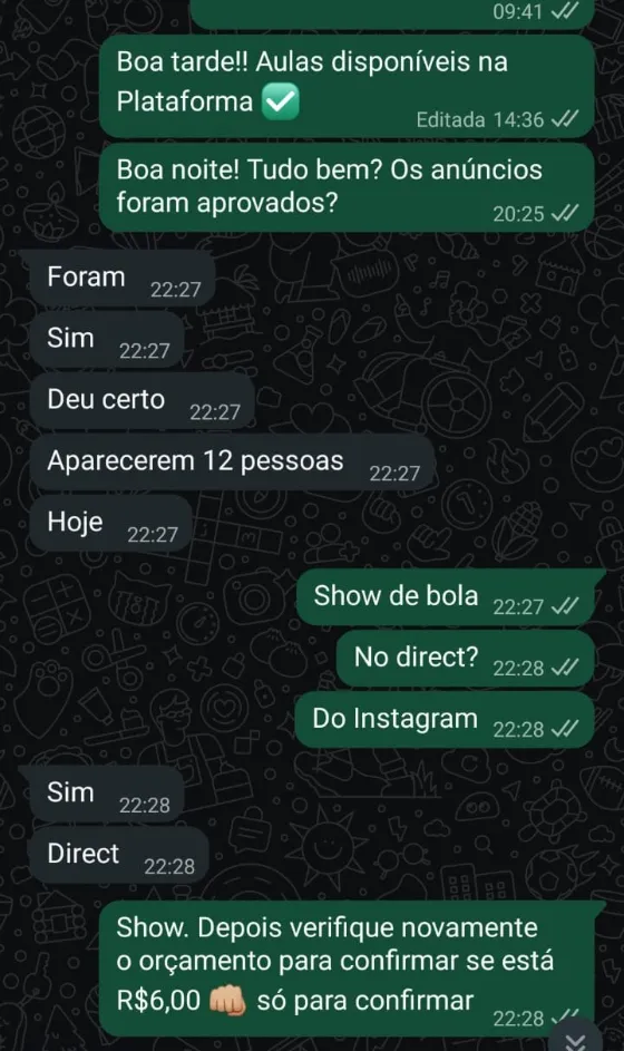 Conversa de WhatsApp:12 pessoas chamaram no Direct no primeiro dia de anúncio